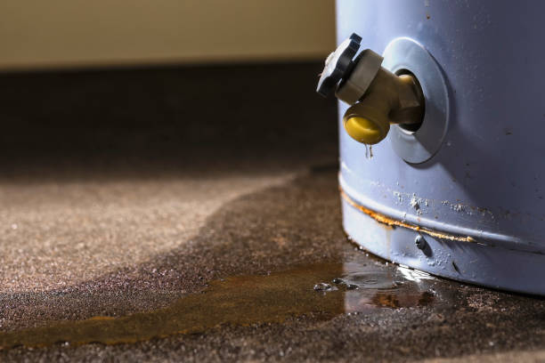 Best Water damage mitigation services  in Alum Rock, CA
