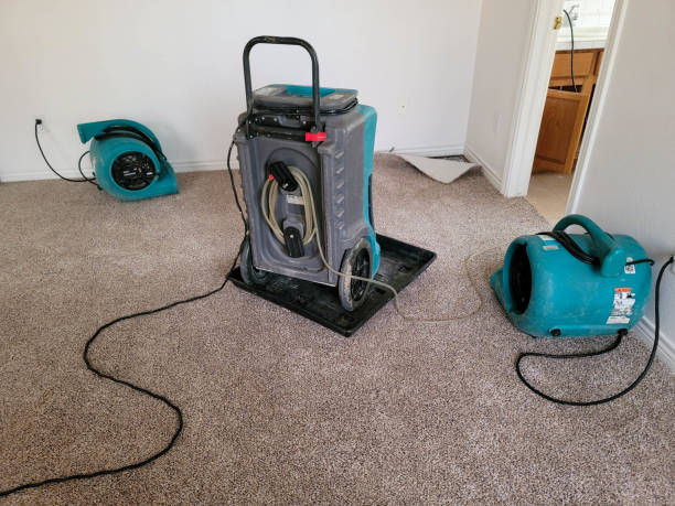 Best Local water damage restoration  in Alum Rock, CA