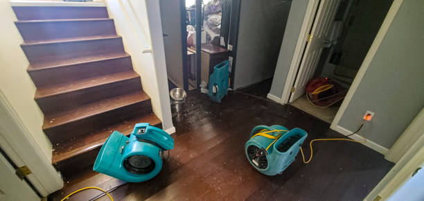 Best Professional water damage repair  in Alum Rock, CA
