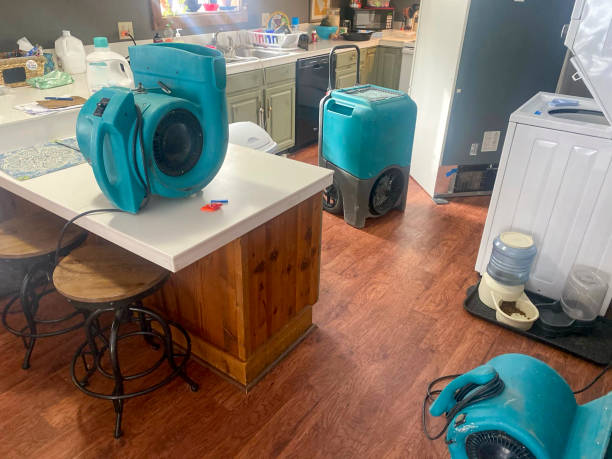 Best Mold removal after water damage  in Alum Rock, CA