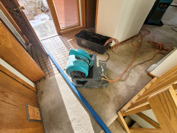 Best Water damage restoration mold remediation  in Alum Rock, CA
