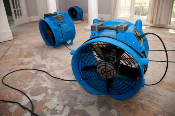 Best Professional water damage repair  in Alum Rock, CA