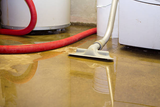 Best Water damage restoration specialists  in Alum Rock, CA