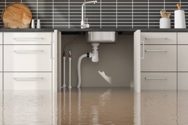 Best Water damage restoration cost  in Alum Rock, CA