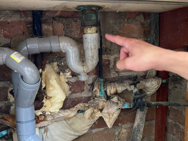 Water damage restoration mold remediation in Alum Rock, CA