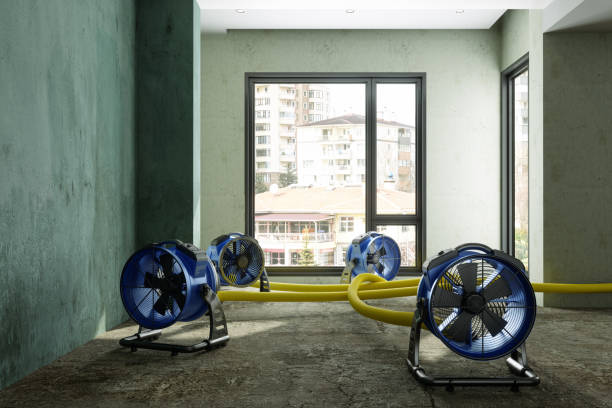Best Water damage restoration near me  in Alum Rock, CA