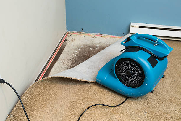 Professional Water damage restoration in Alum Rock, CA